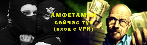 твердый Новозыбков