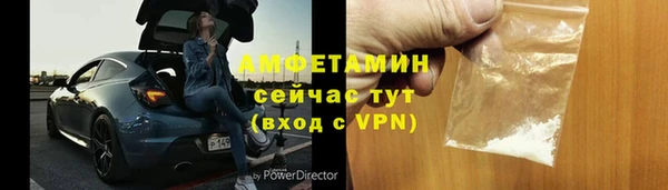 твердый Новозыбков