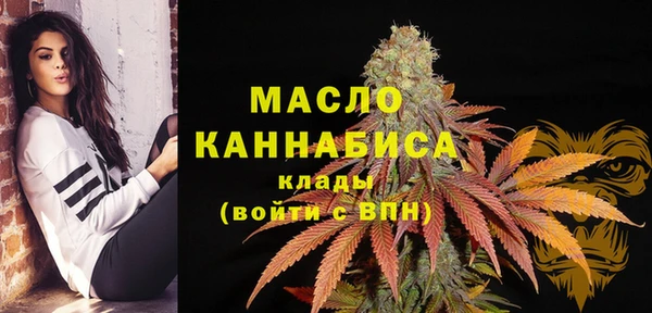 твердый Новозыбков