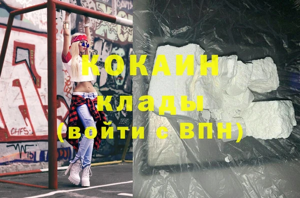 твердый Новозыбков