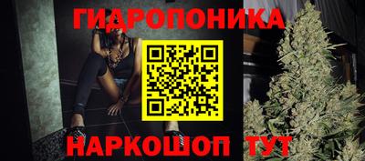 спайс Гусев