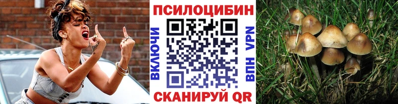 MEGA зеркало  Кашира  Псилоцибиновые грибы Psilocybine cubensis 