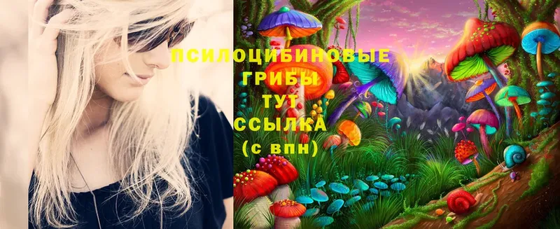 Псилоцибиновые грибы GOLDEN TEACHER  МЕГА ссылка  Кашира 