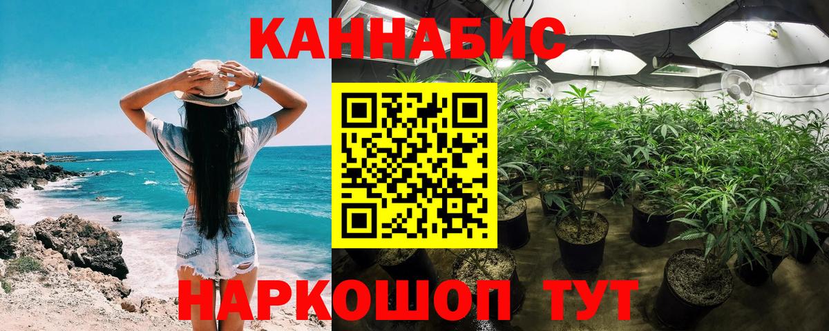 Марихуана ГИДРОПОН  Марихуана марихуана  Канабис план  Кашира 